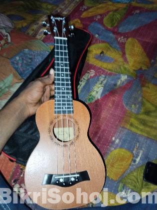 Ukulele kaspar